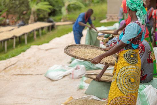 Immersion au Rwanda 10J/7N – 2027 – Limité à 10 pers.