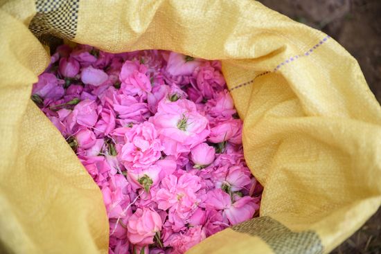 Immersion entre Dunes & Kasbahs – Festival des Roses – 9J/8N – 2027 – Limité à 12 pers. – (Flex)
