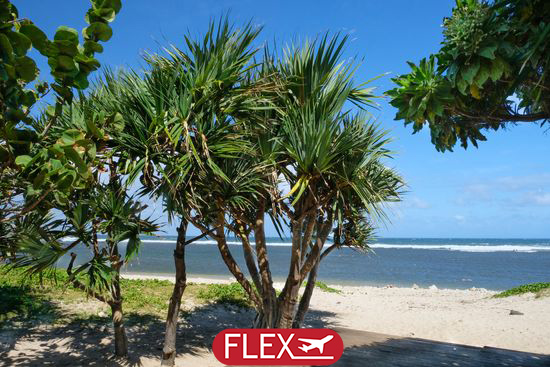 Immersion à l’Île de la Réunion & Extension Saint Gilles Les Bains 13J/10N – 2027 – Limité à 15 pers. – (Flex)